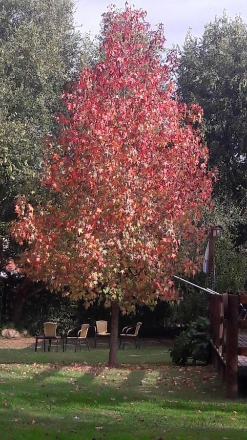 Complejo Retana Villa Potrero de los Funes Bagian luar foto